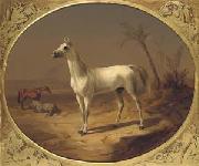 Theodor Horschelt A Grey Arabian Horse oil painting